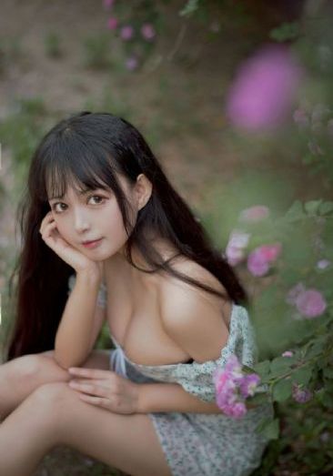导盲犬小q