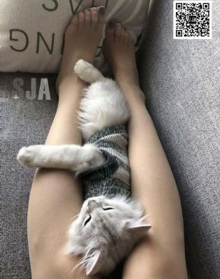 妈妈的女儿在线