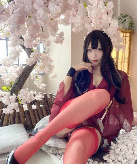 风吹半夏电视剧免费看
